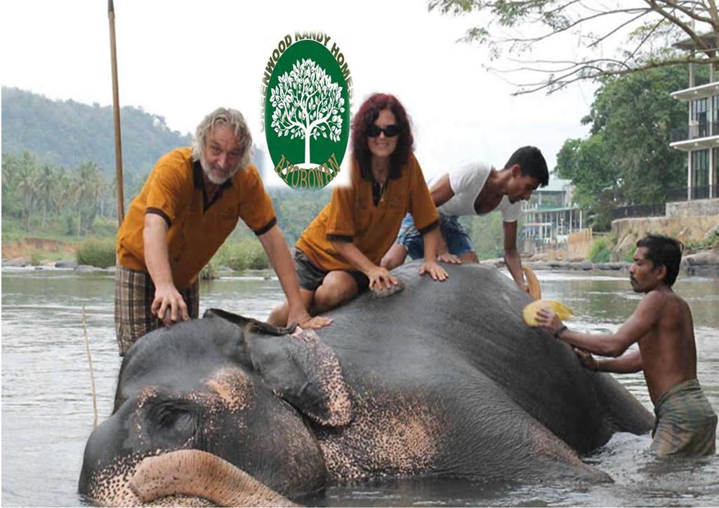 Greenwood Kandy Homestay ภายนอก รูปภาพ