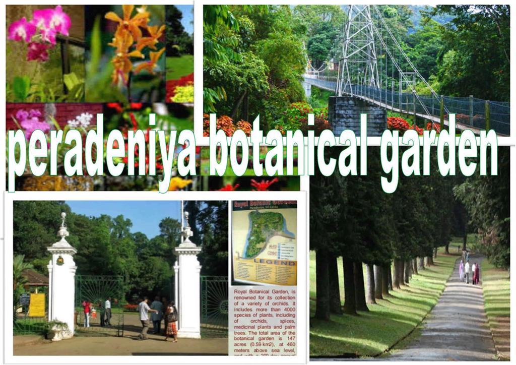Greenwood Kandy Homestay ภายนอก รูปภาพ