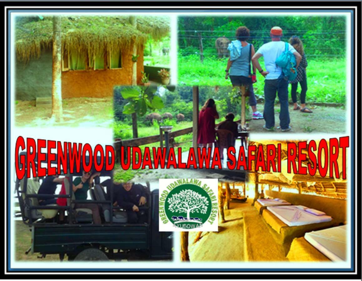 Greenwood Kandy Homestay ภายนอก รูปภาพ