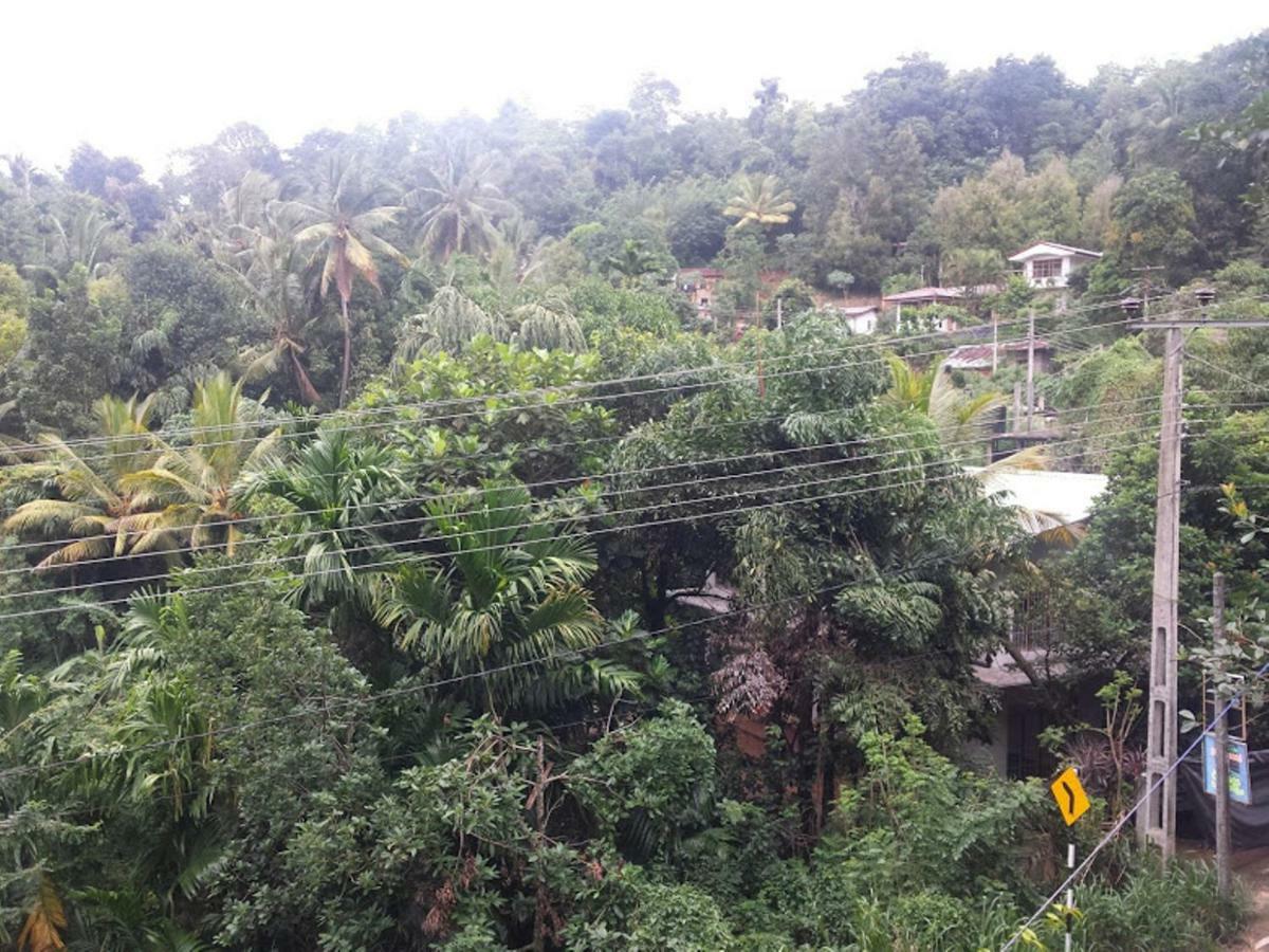 Greenwood Kandy Homestay ภายนอก รูปภาพ