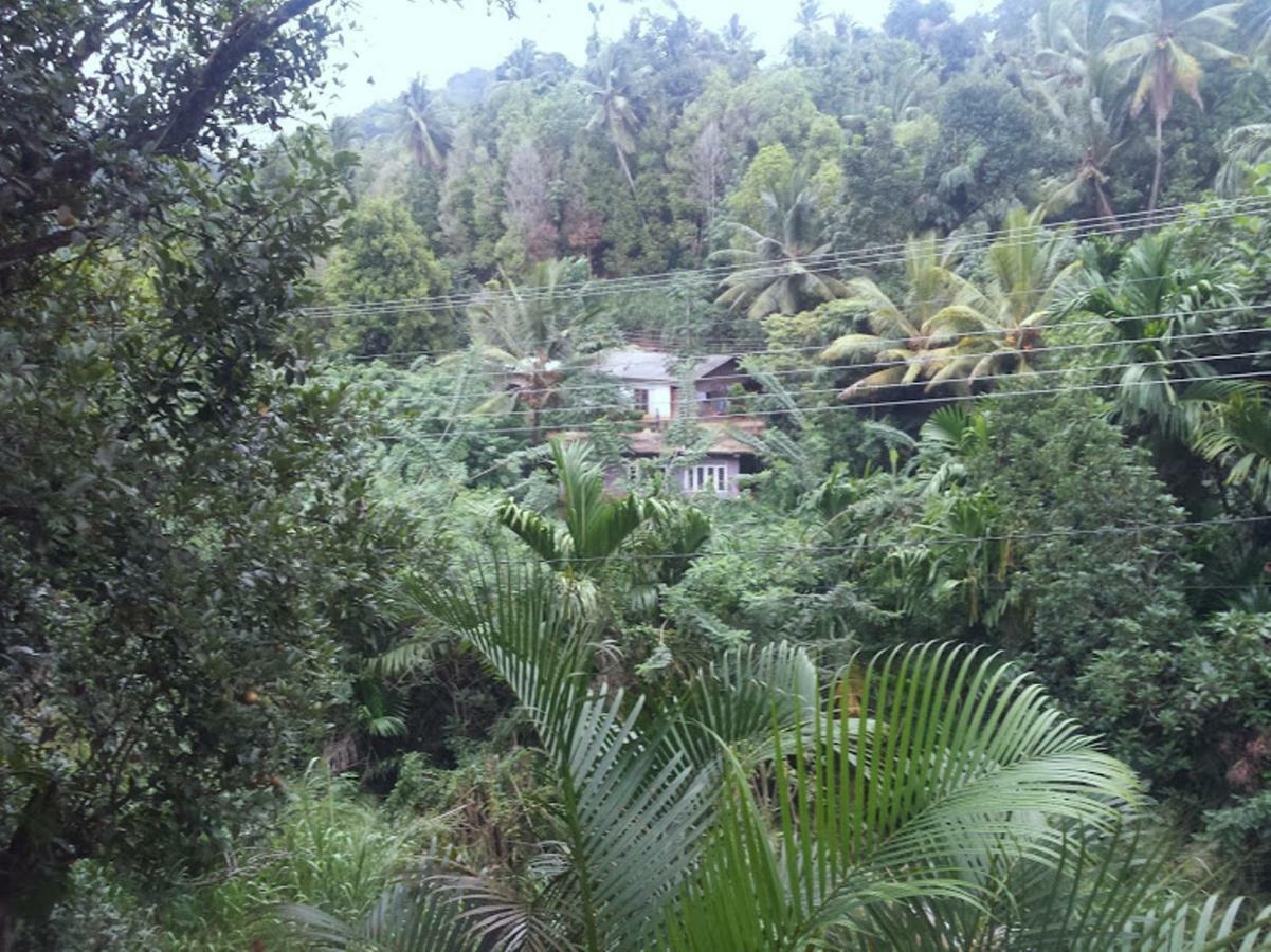 Greenwood Kandy Homestay ภายนอก รูปภาพ